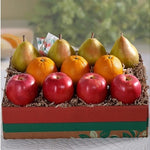 Island Coast Trio Grande Fruit Gift