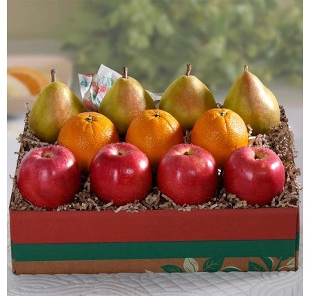 Island Coast Trio Grande Fruit Gift